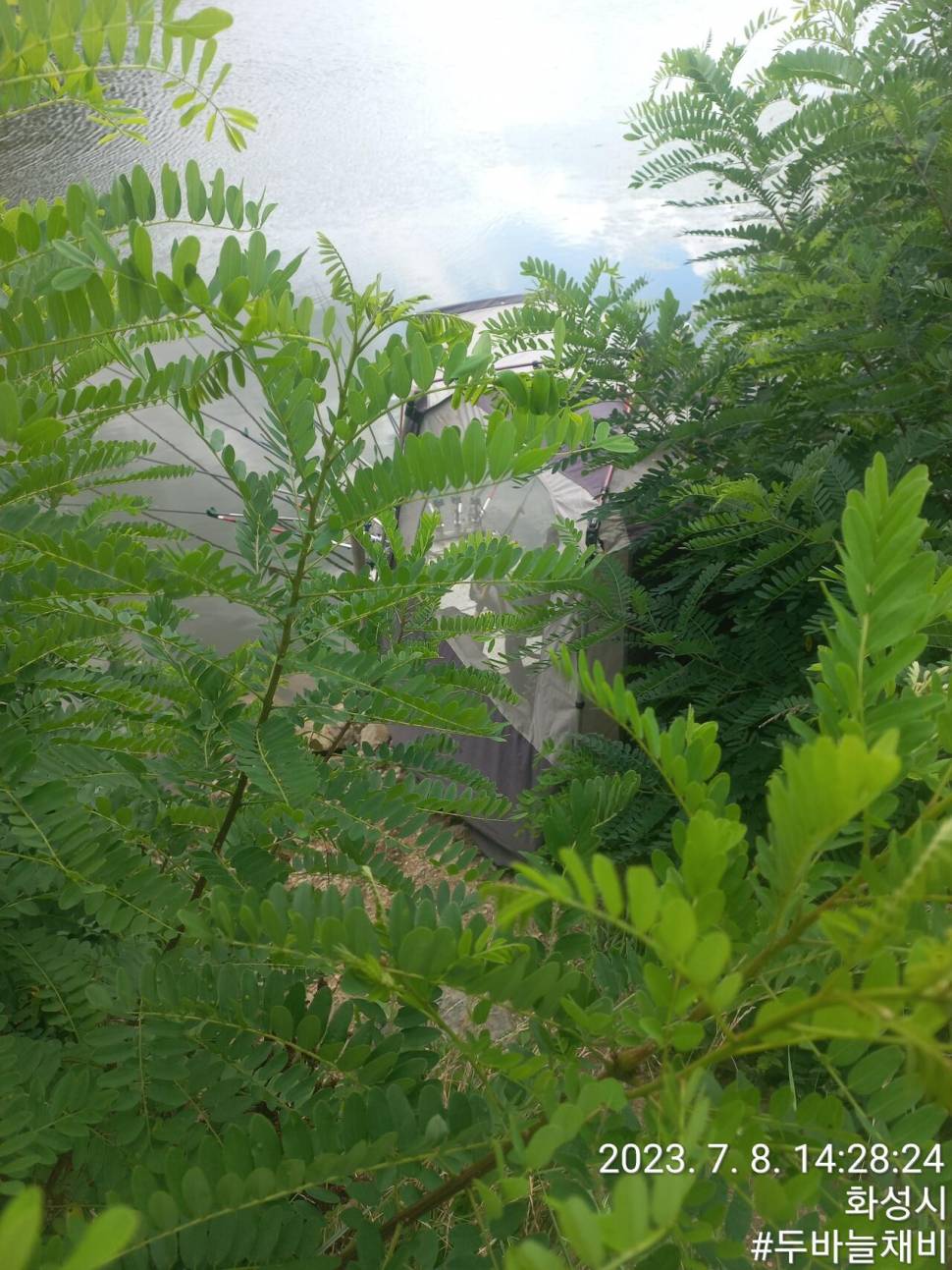 산은 산이요 물은 물이니 (커뮤니티 - 자유게시판)