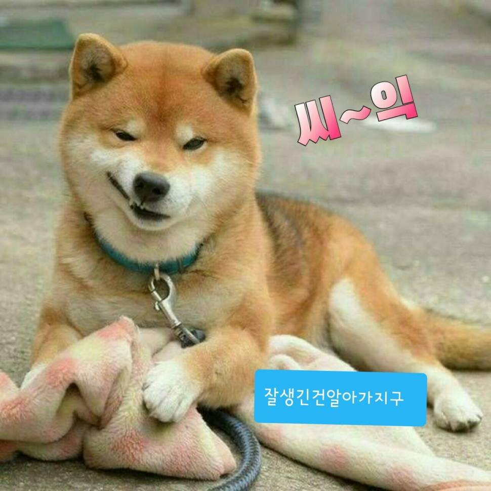 월요일 짤 (커뮤니티 - 자유게시판)