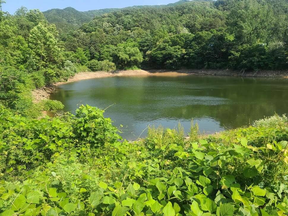 15년만에 탐방 밎 채비 근황 (커뮤니티 - 자유게시판)
