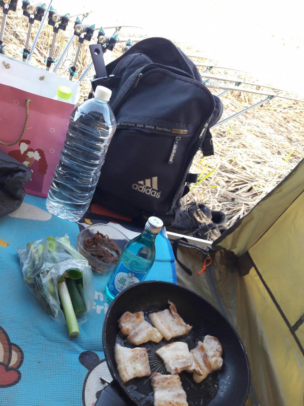 다들창고에낚시대넣을때 꾼들은낚시를시작한다 (커뮤니티 - 자유게시판)
