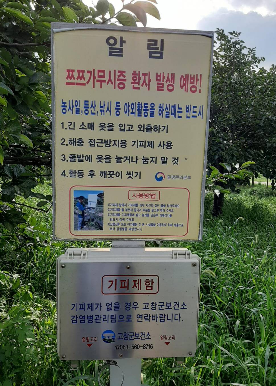 일광욕중입니다 (커뮤니티 - 자유게시판)