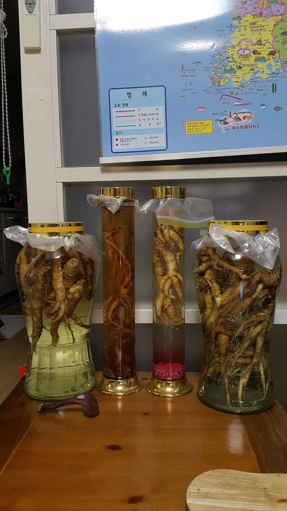 울 아이가 태권도 품세 경진대회에서 금메달을 취득한 기념으로 이번에도 도라지 씨앗과 더덕씨앗을 열분께 무분 하겠습니다 (커뮤니티 - 자유게시판)