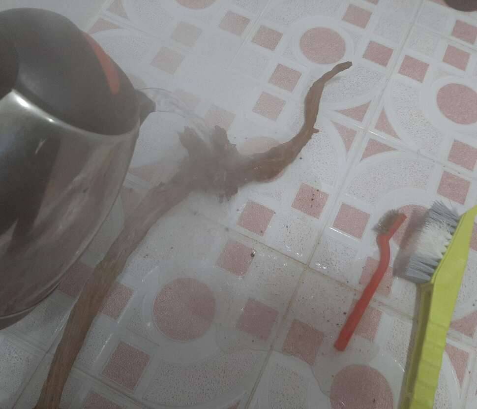 밑천 까 발립니다목부작 제작과정 (커뮤니티 - 자유게시판)