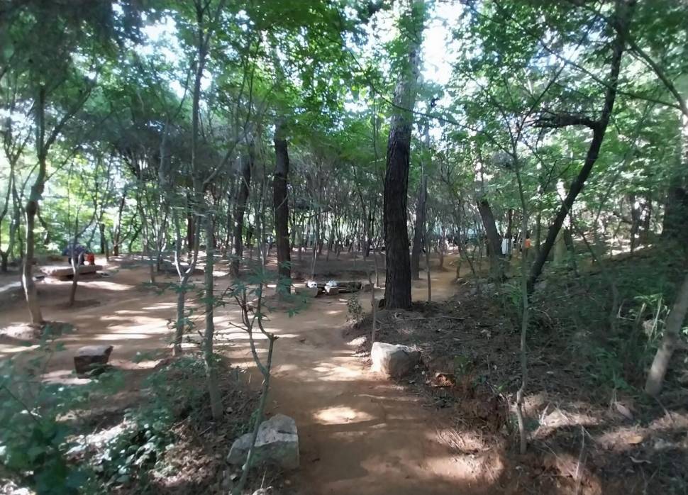 누죽걸산을 아시나요 (커뮤니티 - 자유게시판)