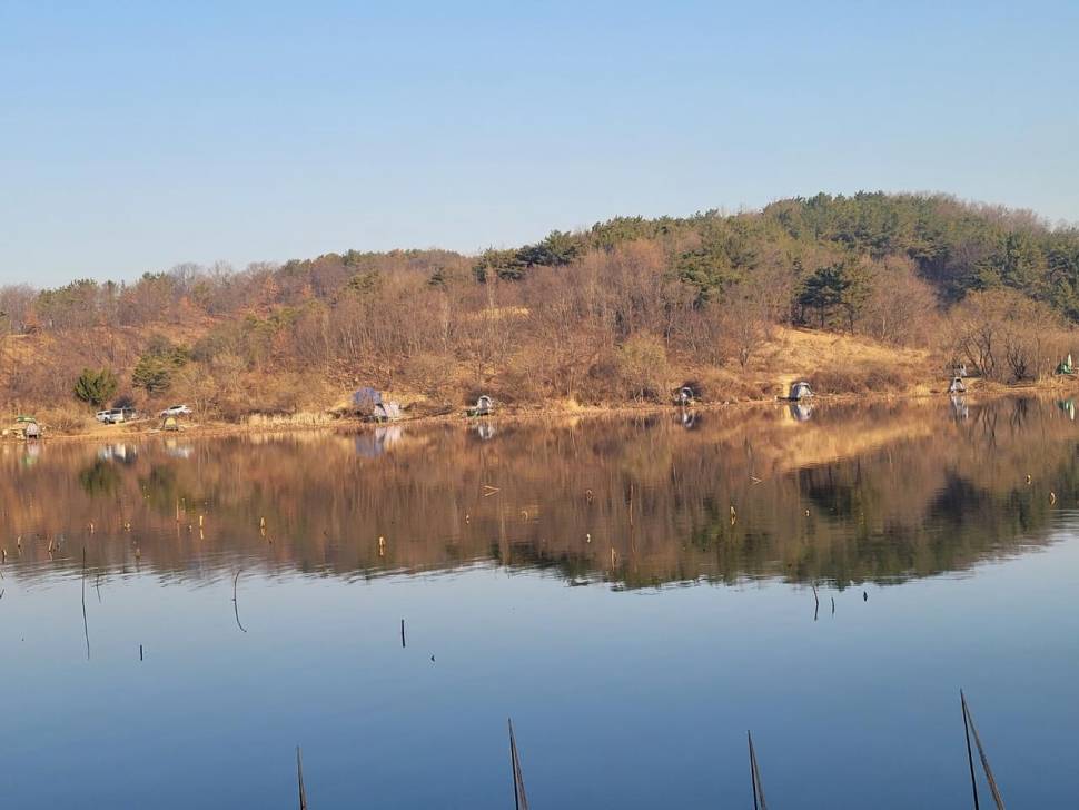 장척지 해도 해도 너무한다 (커뮤니티 - 자유게시판)