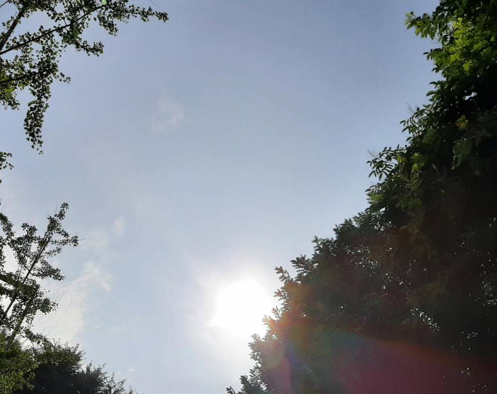 님아 그 산에 오르지 마오 (커뮤니티 - 자유게시판)
