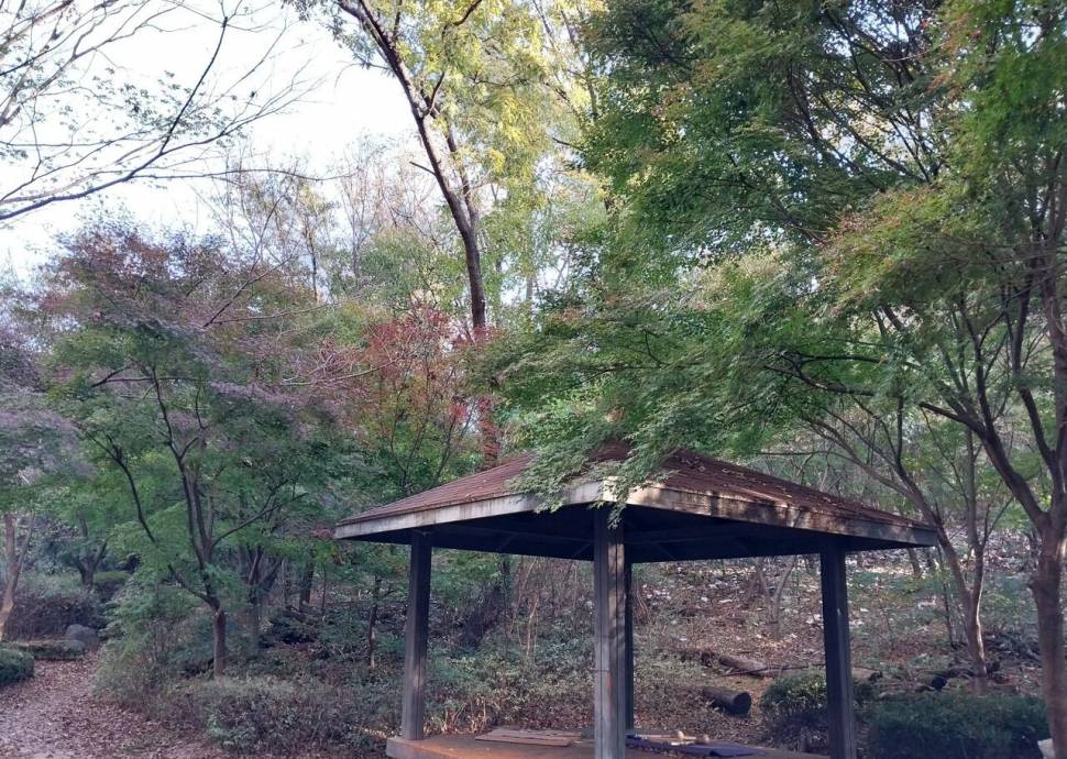 1년새 무슨 일이 있었기에 (커뮤니티 - 자유게시판)