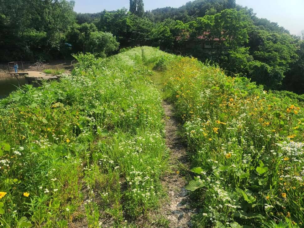 15년만에 탐방 밎 채비 근황 (커뮤니티 - 자유게시판)