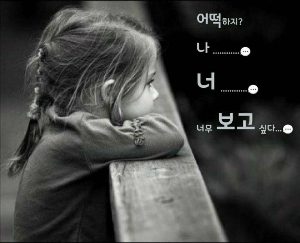 직진 (커뮤니티 - 자유게시판)