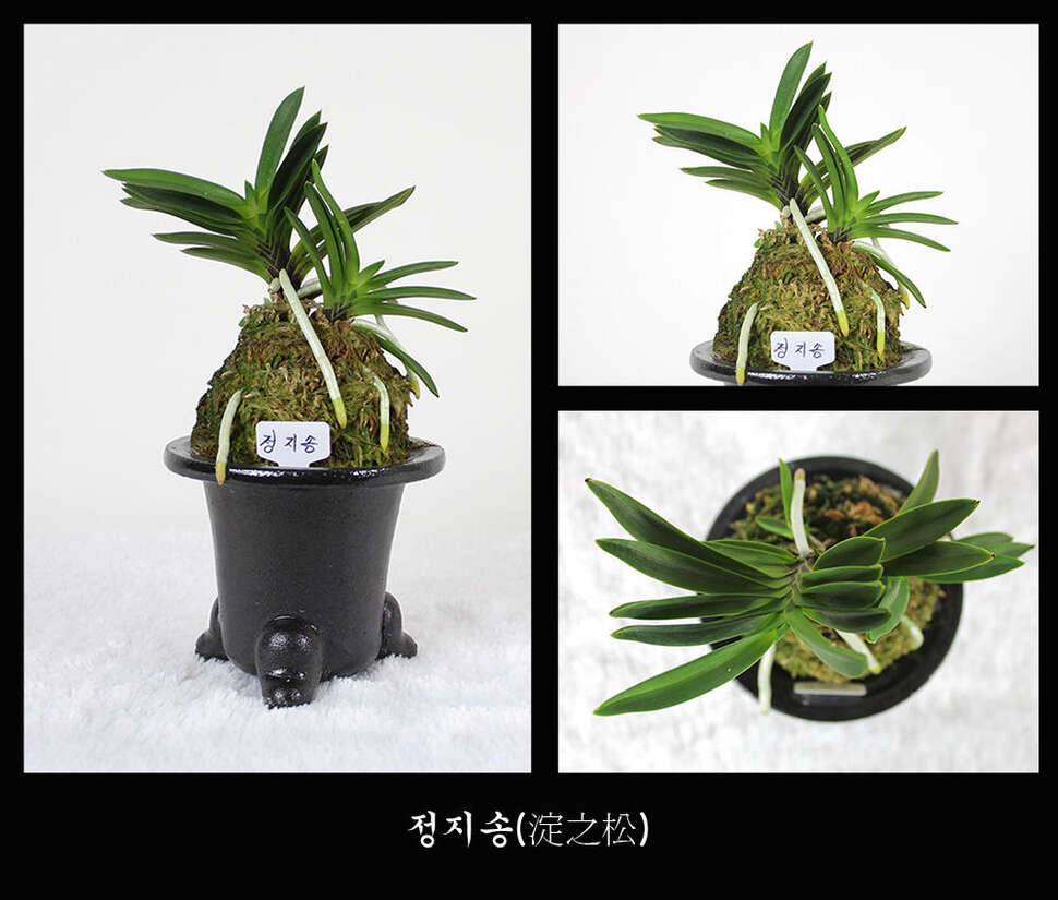 눈요기 하세요 참고로 배는 부르지 않아요 (커뮤니티 - 자유게시판)