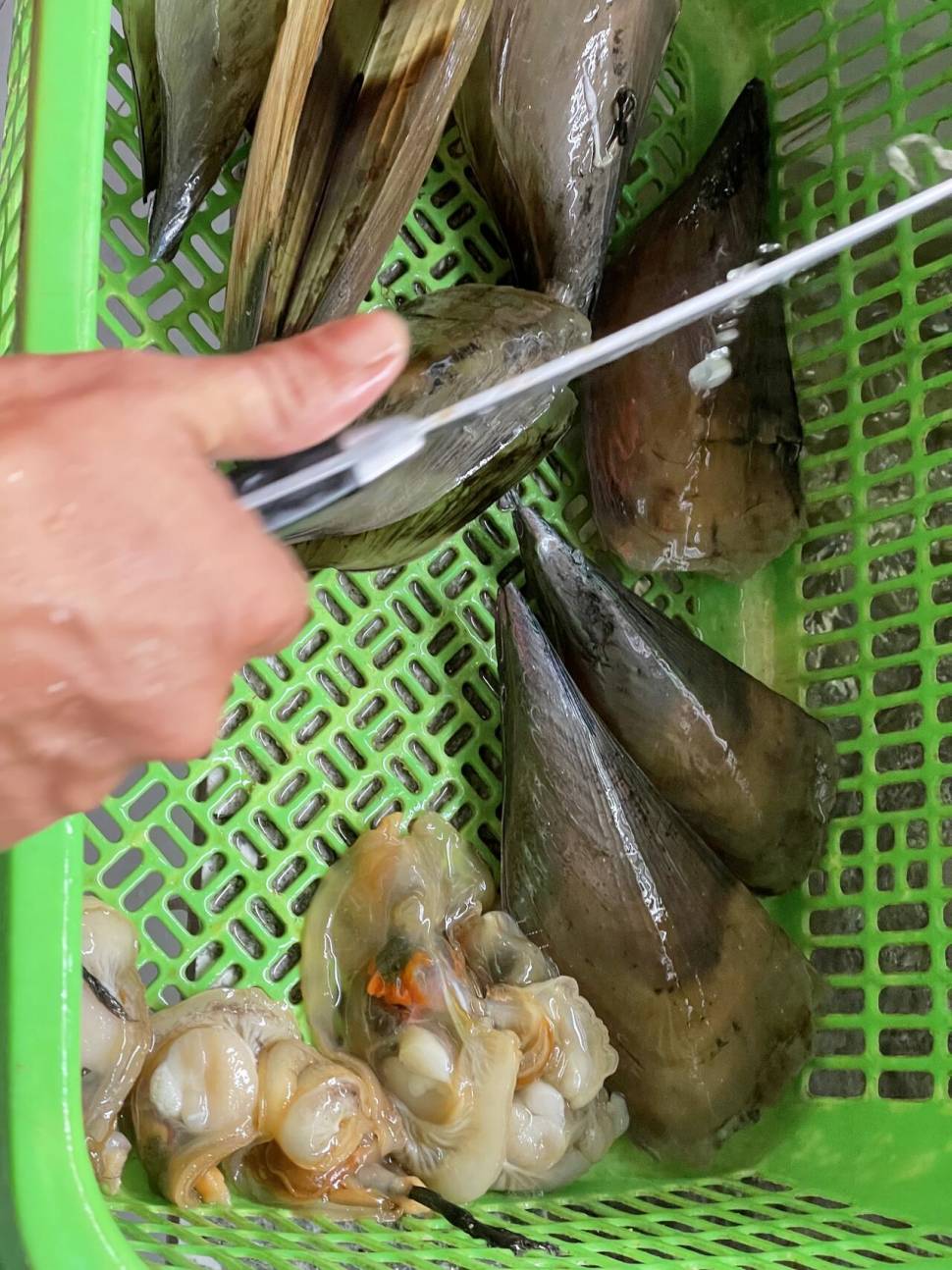 seafood 천국 (커뮤니티 - 자유게시판)