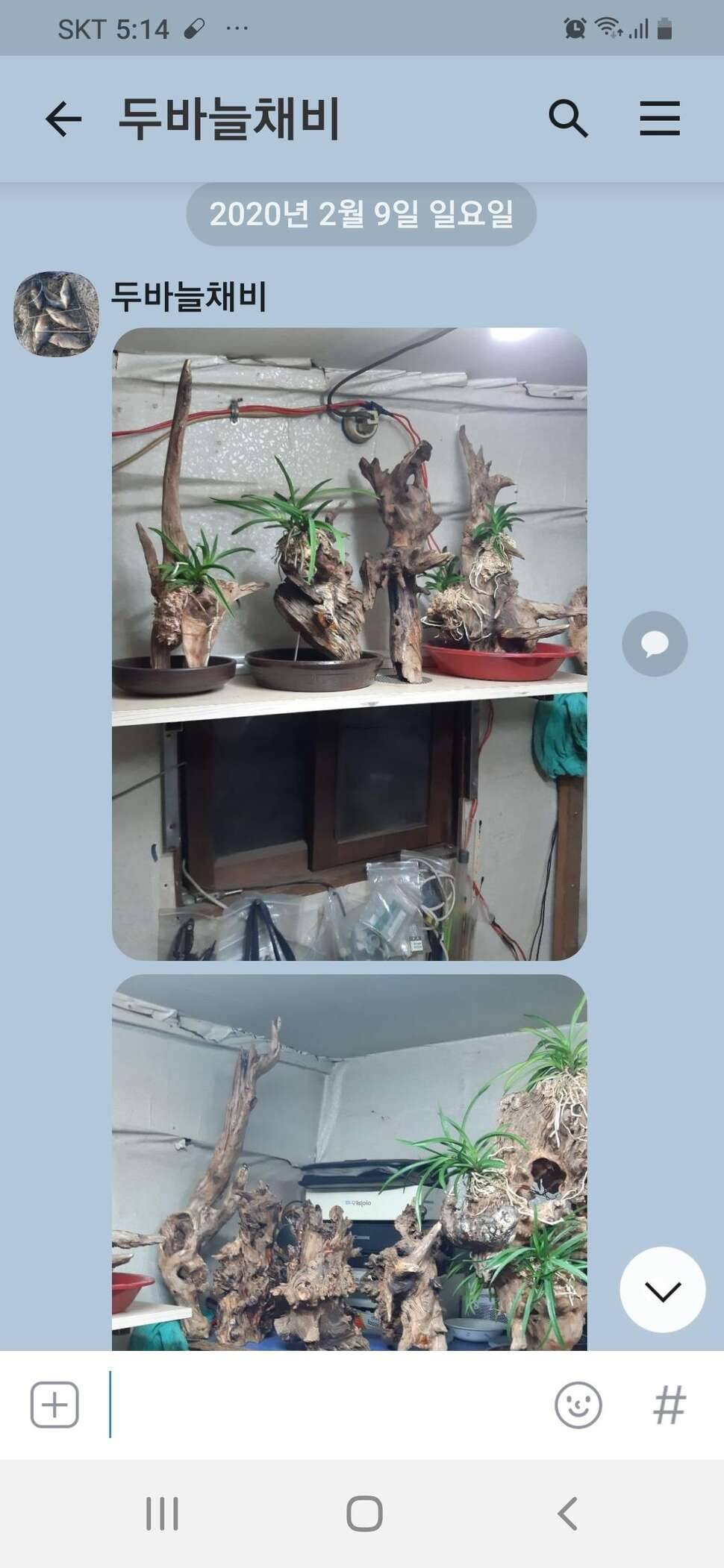 아무래도 제가 잘못한거 같아유ㅡㅡ (커뮤니티 - 자유게시판)