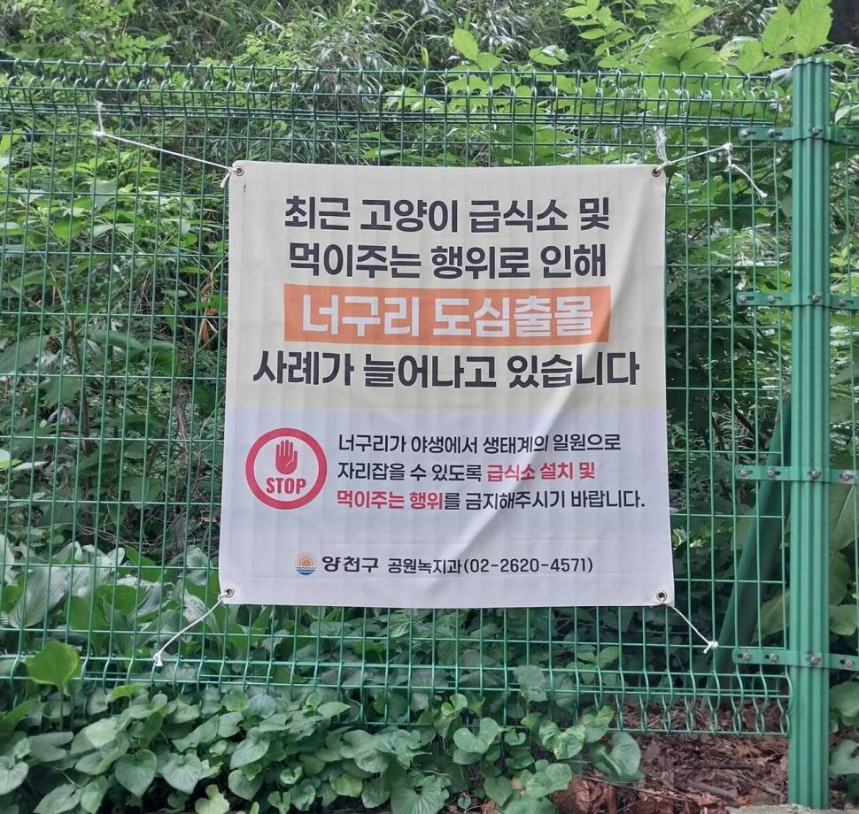 산은 건강한가 (커뮤니티 - 자유게시판)