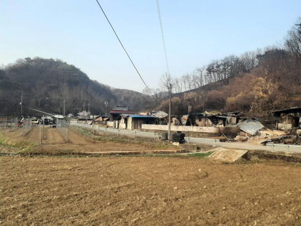 커뮤니티 > 자유게시판 > 고향 마을 커뮤니티 > 자유게시판 > 고향 마을 