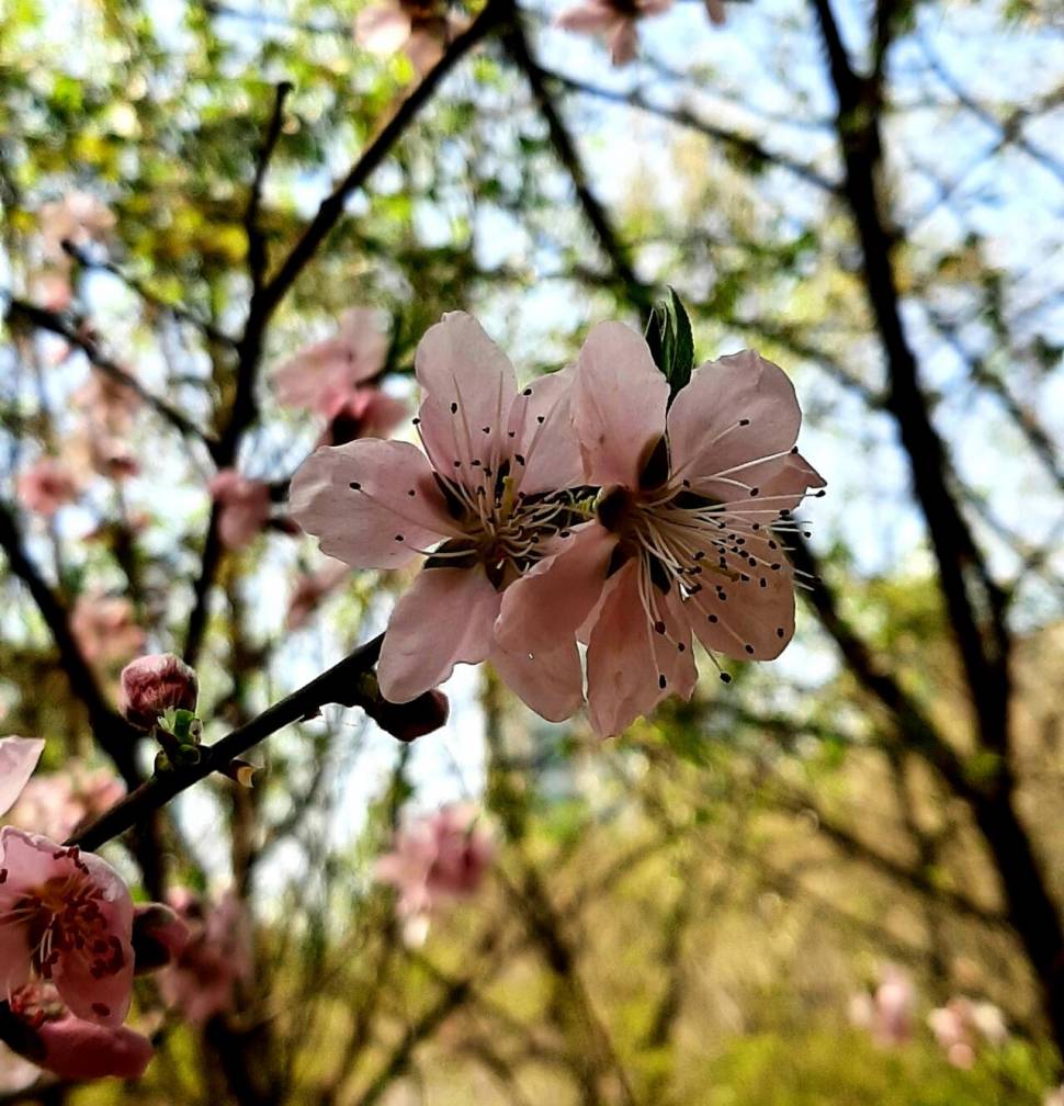 힘드네요 ㅡㅡ (커뮤니티 - 자유게시판)