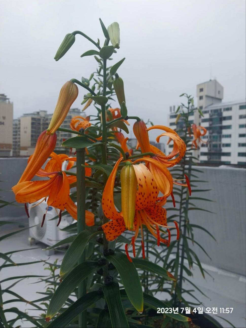 조심 한다고 했는데 ㅡㅡ (커뮤니티 - 자유게시판)