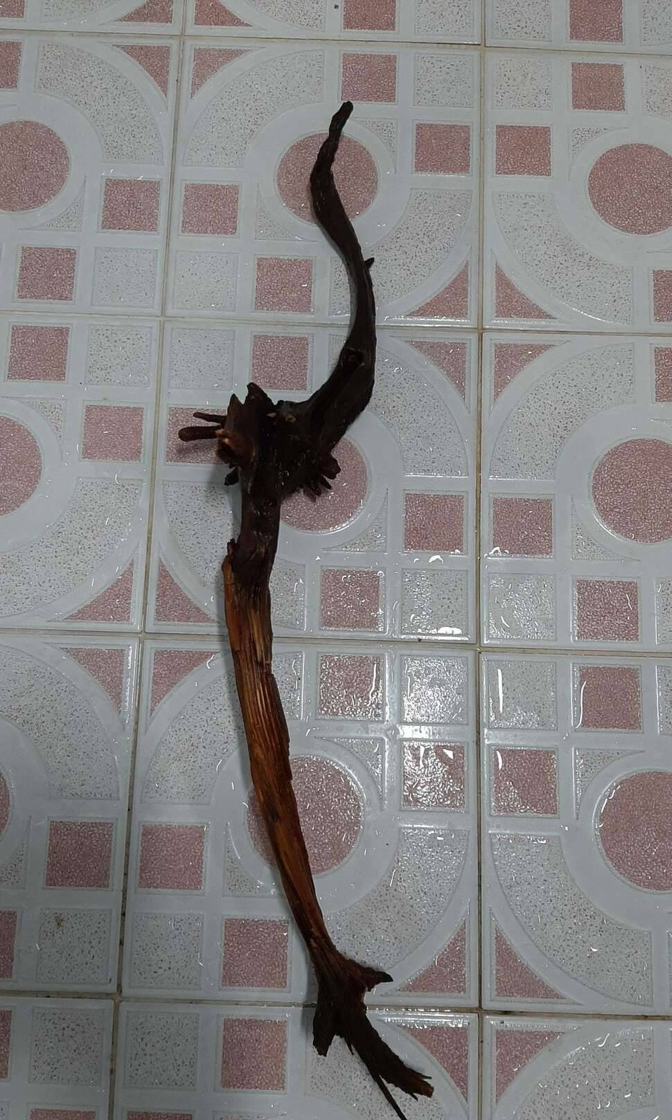 밑천 까 발립니다목부작 제작과정 (커뮤니티 - 자유게시판)
