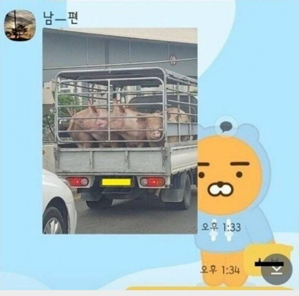 여학생들의 컨닝방법 (커뮤니티 - 자유게시판)
