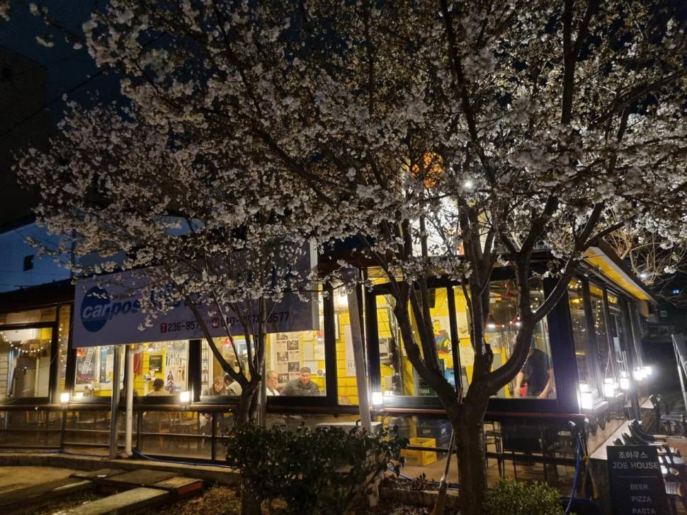 옥과천에서많은 조언을 해주신 월님들에게 감사인사올립니다 (커뮤니티 - 자유게시판)