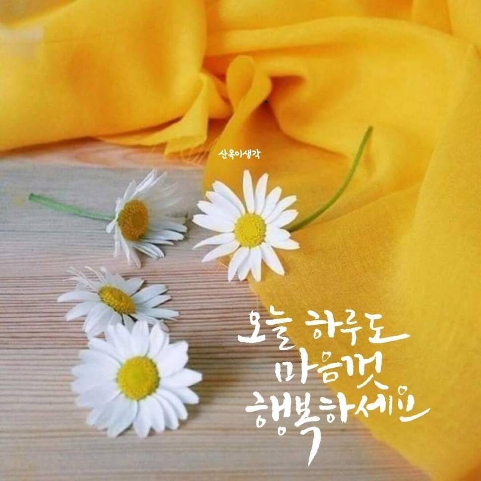 나와 같다는 것 (커뮤니티 - 자유게시판)