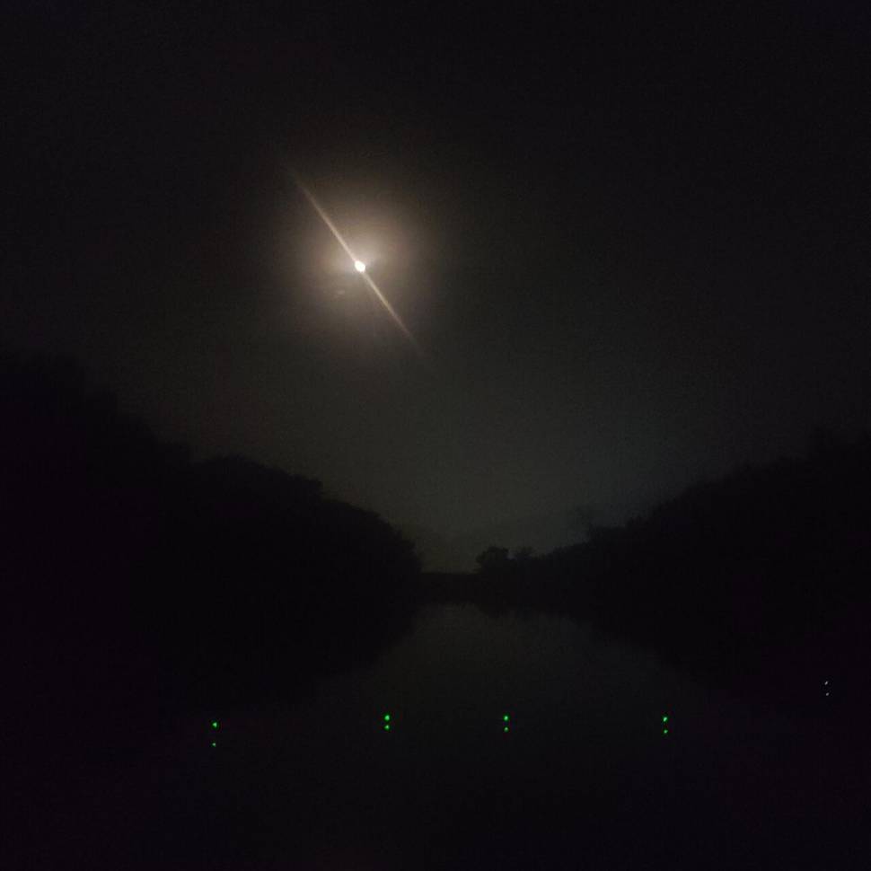 영롬한 달빛에 취해 (커뮤니티 - 자유게시판)