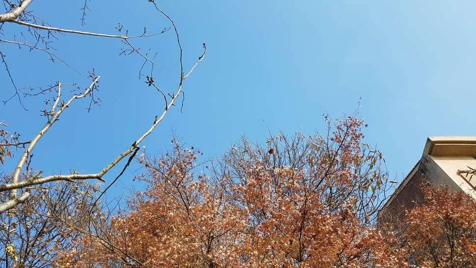 가는세월 아쉬움 (커뮤니티 - 자유게시판)