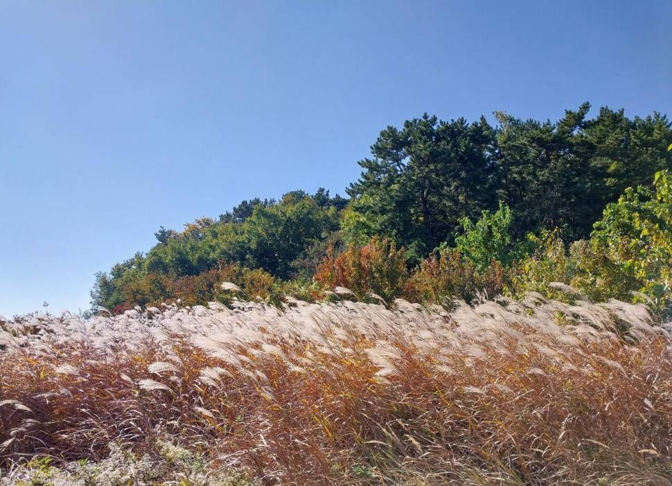 뭘까요 (커뮤니티 - 자유게시판)