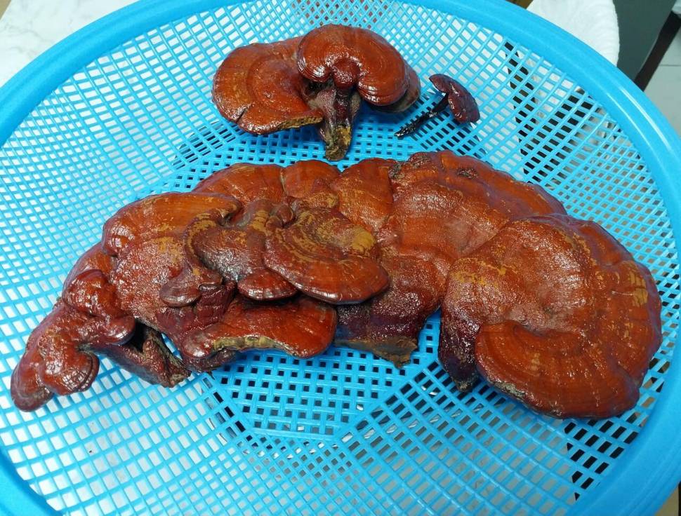 사짜허리급 ㅡ부러움 주의ㅡ (커뮤니티 - 자유게시판)