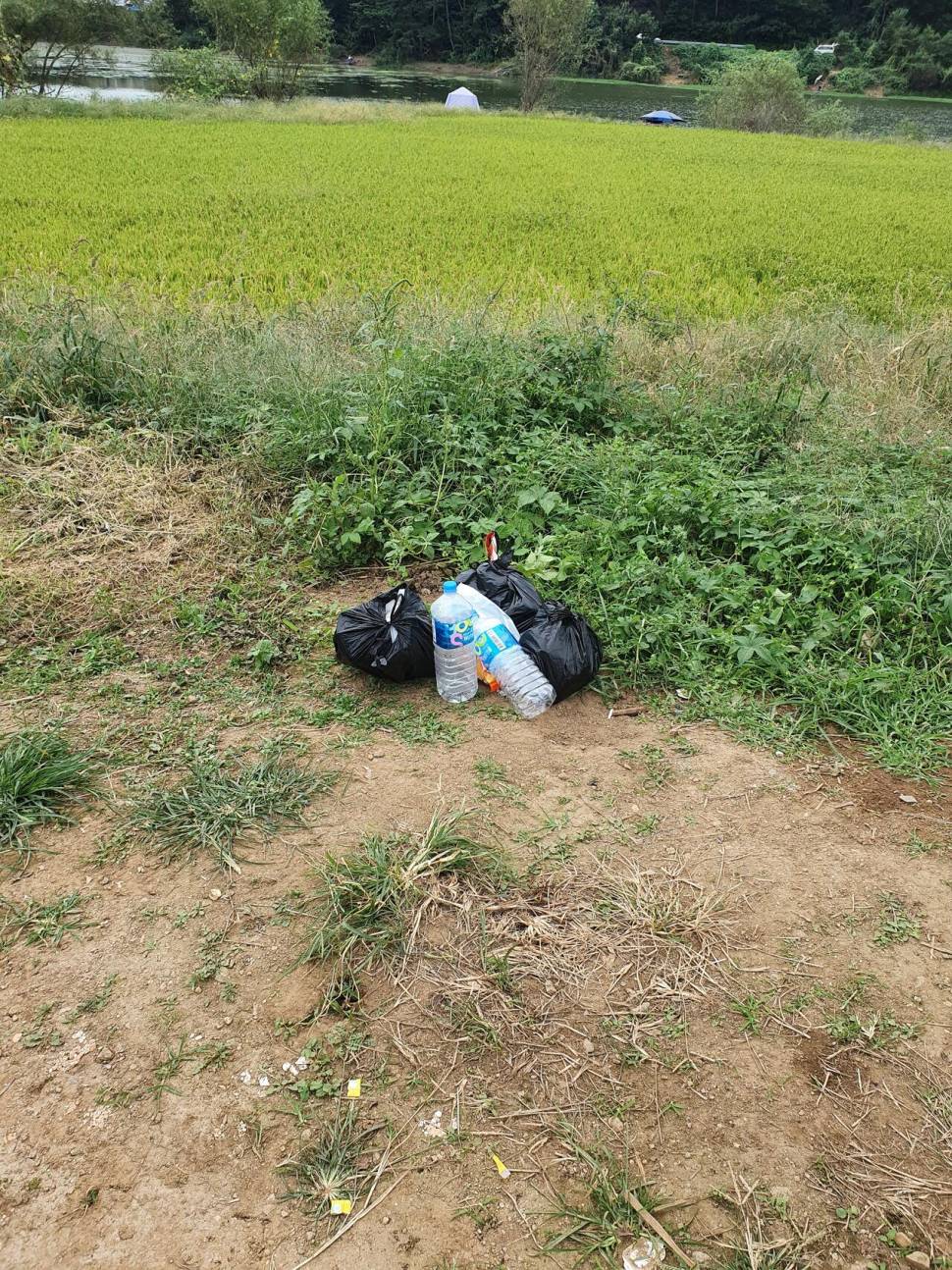 고풍지가 아니고 서산 풍전지로 고칩니다 (커뮤니티 - 자유게시판)
