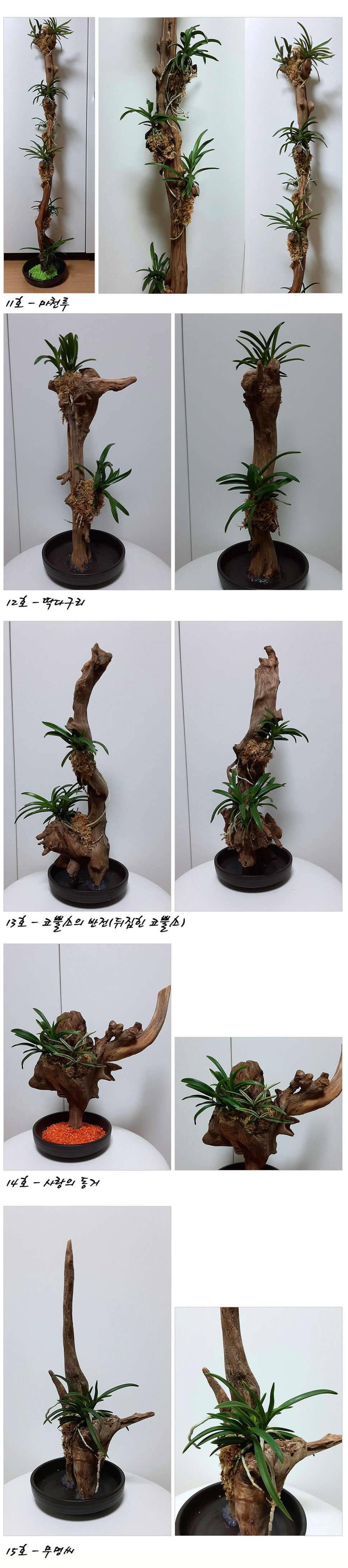 나 오늘 한가해요 (커뮤니티 - 자유게시판)