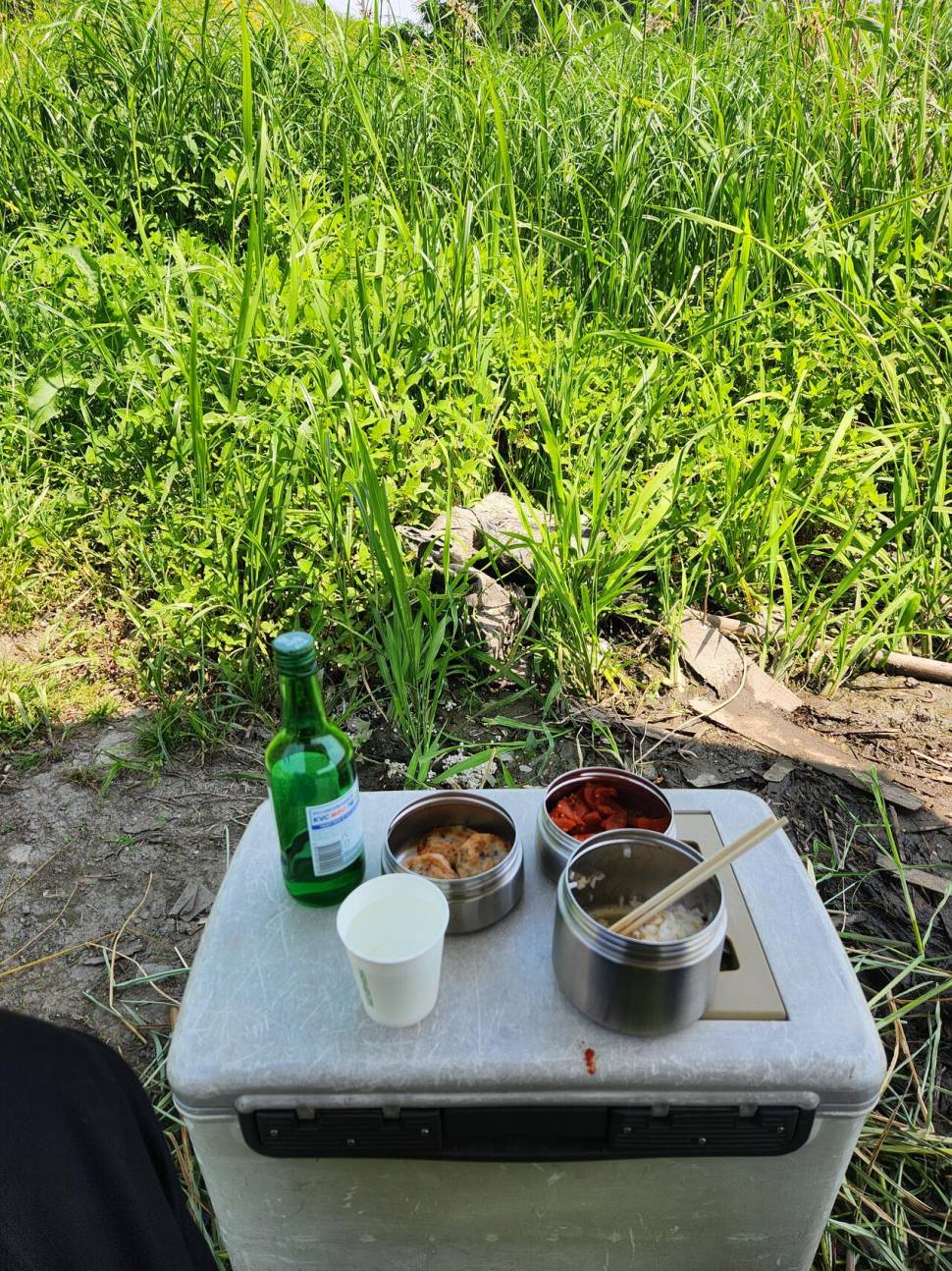 강화도 수로예요 (커뮤니티 - 자유게시판)