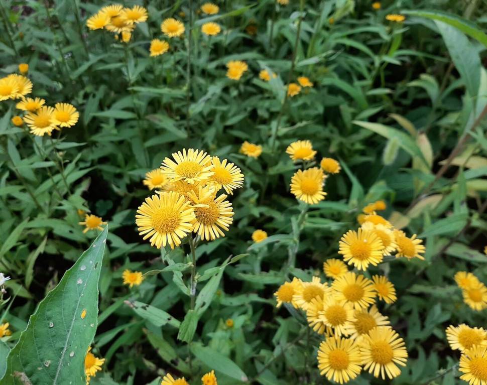 님아 그 산에 오르지 마오 (커뮤니티 - 자유게시판)