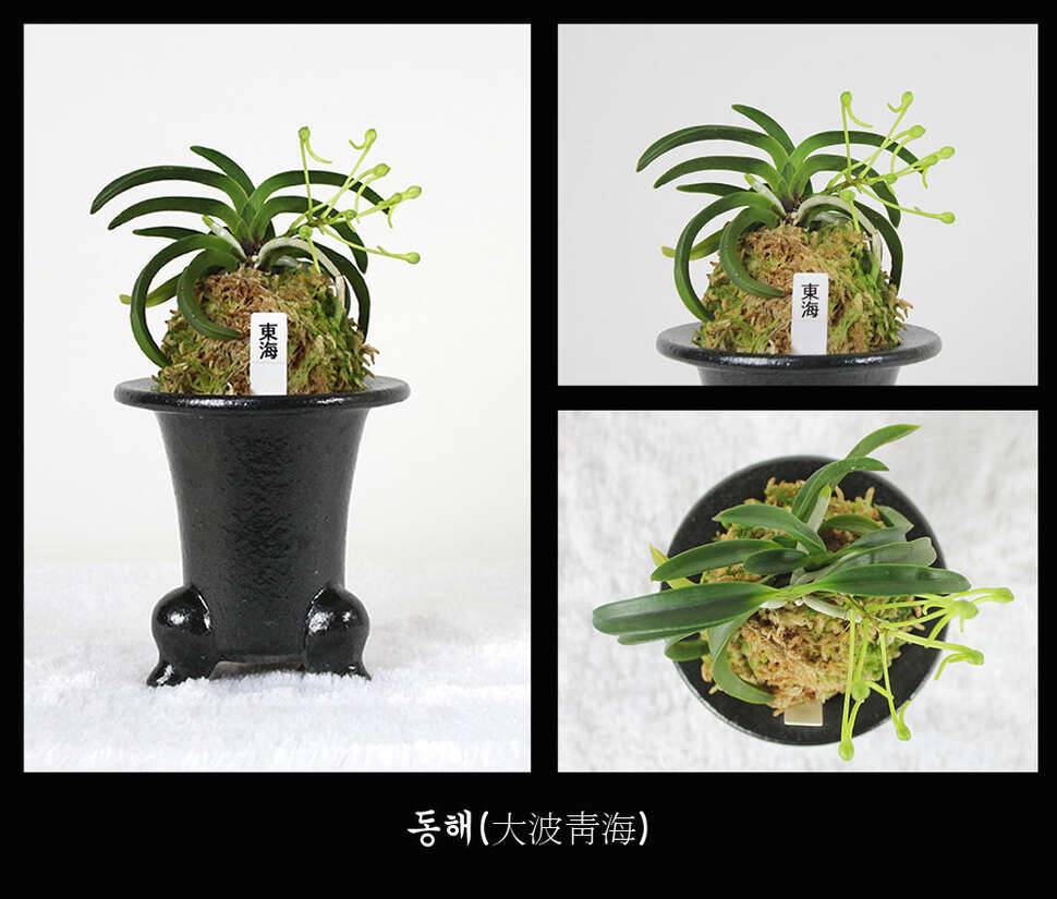 눈요기 하세요 참고로 배는 부르지 않아요 (커뮤니티 - 자유게시판)