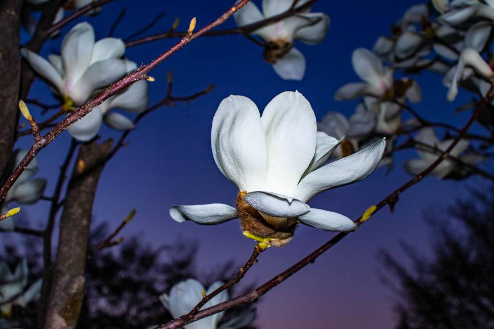 서북통 조용한 산란기 (커뮤니티 - 자유게시판)