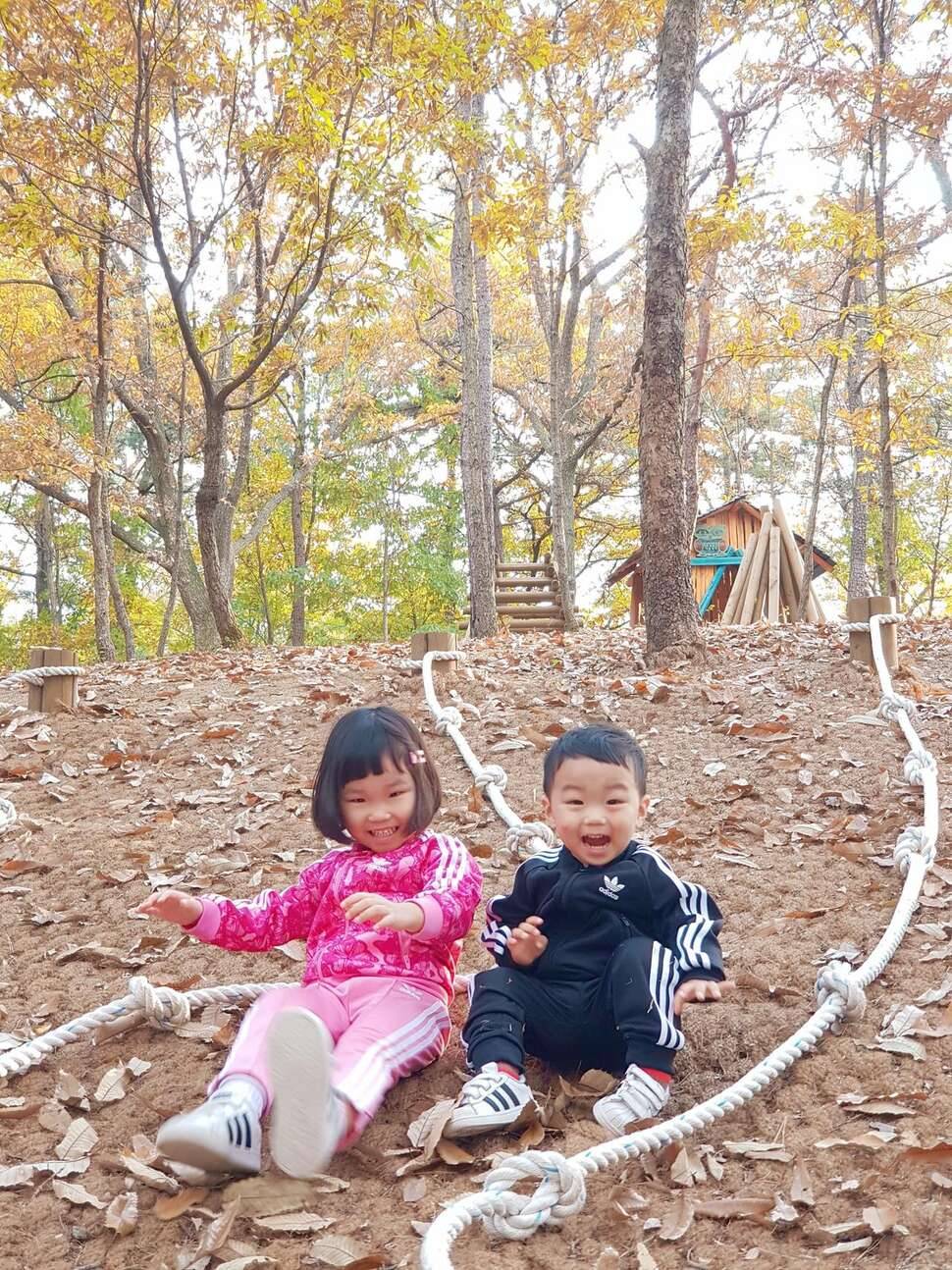 가는세월 아쉬움 (커뮤니티 - 자유게시판)