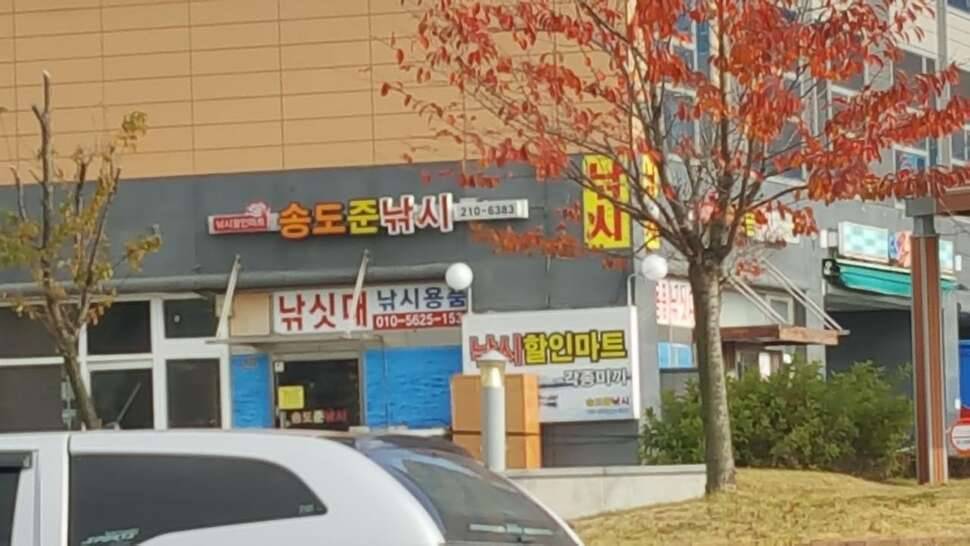 송도 이곳저곳 (커뮤니티 - 자유게시판)