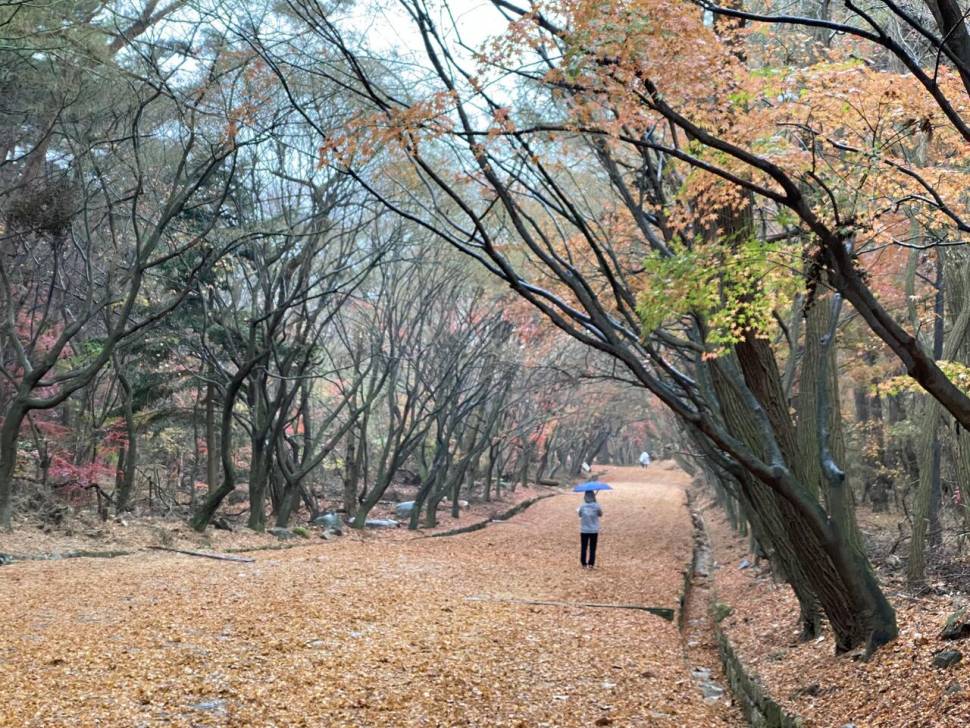 토함산 가는 길 (커뮤니티 - 자유게시판)