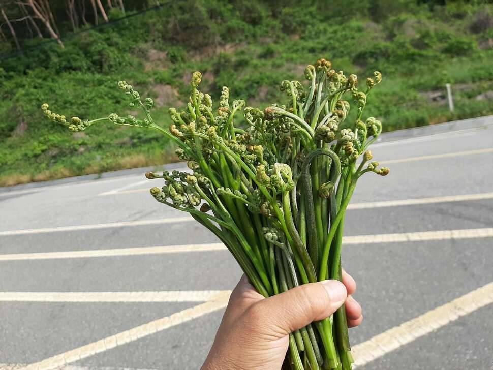 아 낚시가 뭔지 (커뮤니티 - 자유게시판)