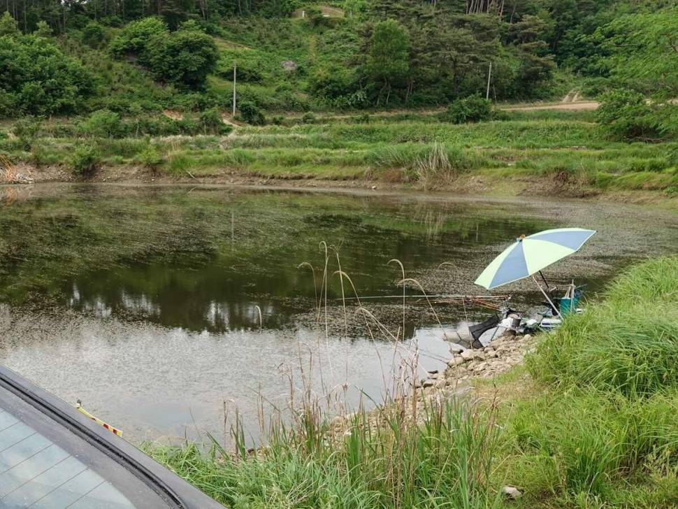 전반기 결산 (커뮤니티 - 자유게시판)