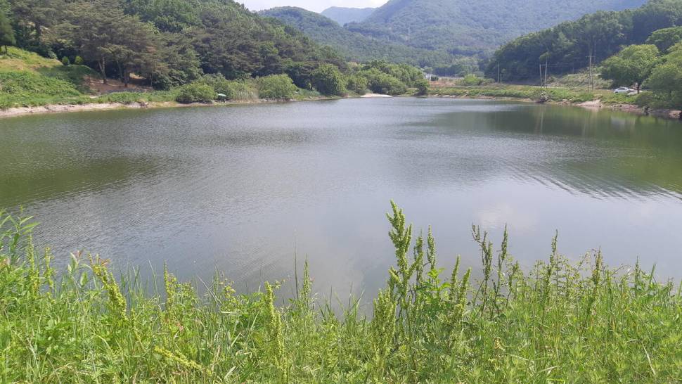 계룡산자락에서 (커뮤니티 - 자유게시판)