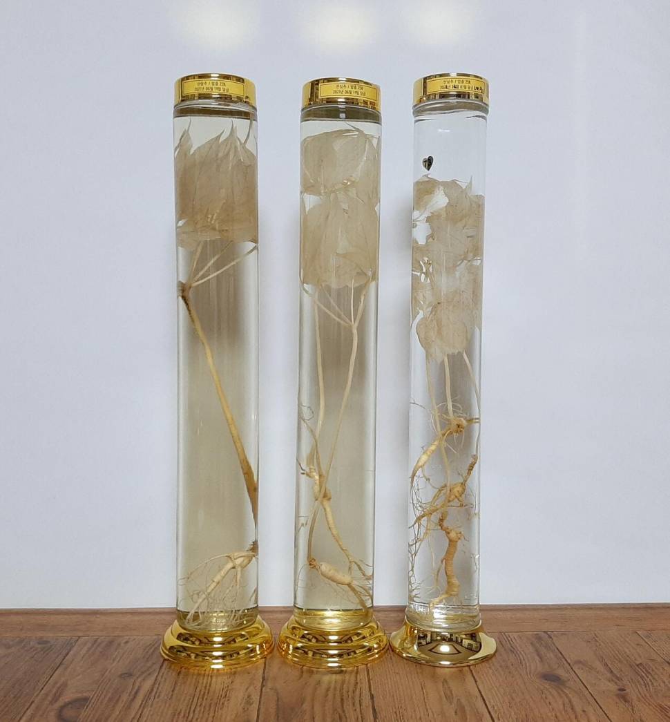 술익는 마을귀경허세유 (커뮤니티 - 자유게시판)