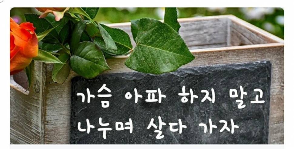 손톱깍이님 (커뮤니티 - 자유게시판)