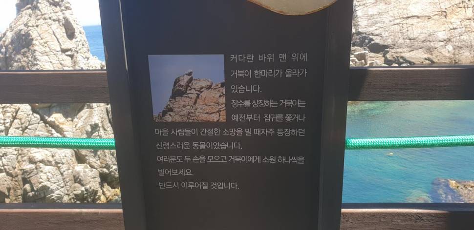 4륜 (커뮤니티 - 자유게시판)