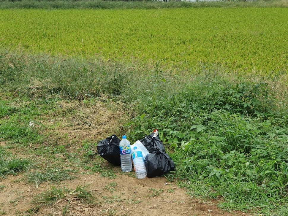 고풍지가 아니고 서산 풍전지로 고칩니다 (커뮤니티 - 자유게시판)