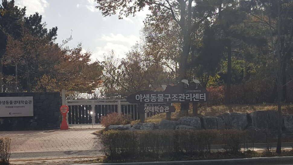 송도 이곳저곳 (커뮤니티 - 자유게시판)