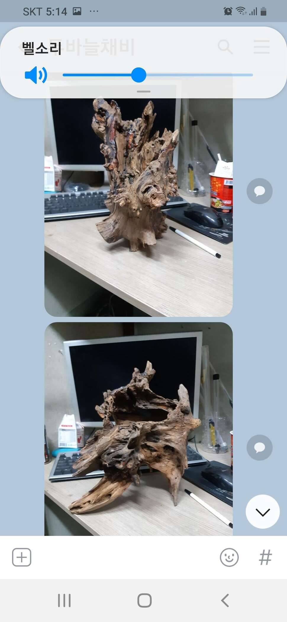 아무래도 제가 잘못한거 같아유ㅡㅡ (커뮤니티 - 자유게시판)
