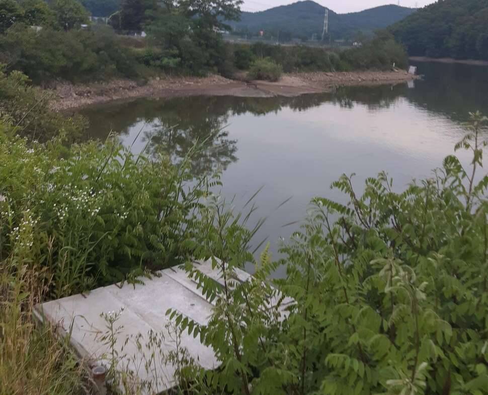 물돼지 몰러나간다2 (커뮤니티 - 자유게시판)