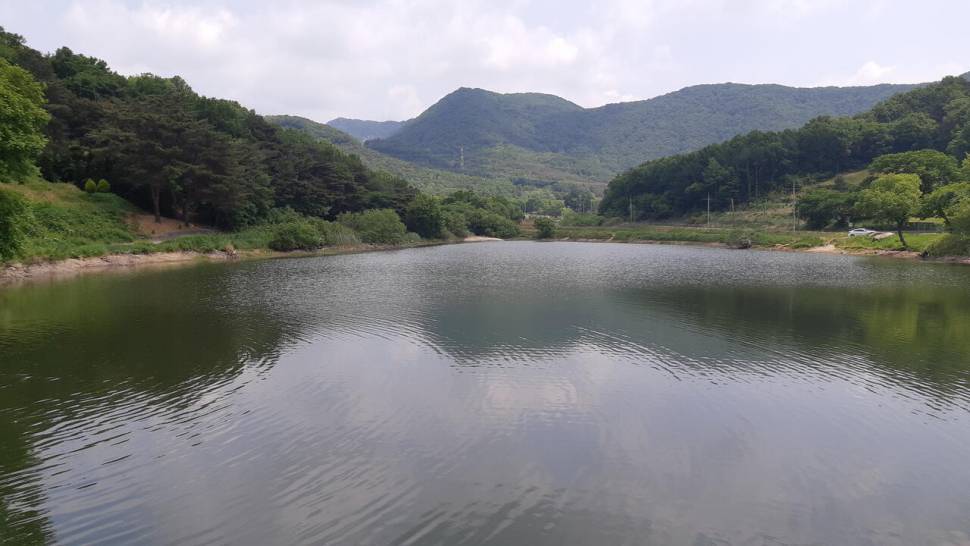 계룡산자락에서 (커뮤니티 - 자유게시판)