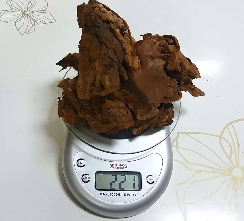 이 귀한걸 어떡한다요 (커뮤니티 - 자유게시판)