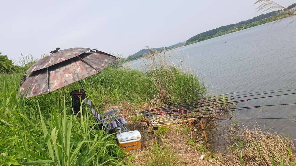 마나님이 낚시를 보내주셨습니다 (커뮤니티 - 자유게시판)